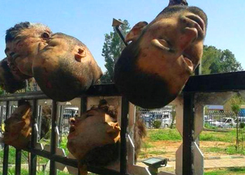 "50 soldier's of Syria's 417 Division were beheaded and their heads put on poles." - Live Leak