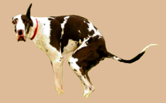 Photo source: He Shat, She Shat - Click on graphic to go to Web site.