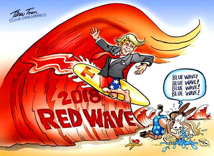"Many people wrote us wanting us to cartoon the idea  of the 'Red Wave' and Trump surfing.  It’s a really fun idea so I added the hapless Democrat Donkey boy trying to astro turf the blue wave out of a puddle.  It’s pretty early for the Dems to start screaming “Blue Wave”, so we decided to answer the Dem narrative with a wave of our own." - Grrrgraphics 
