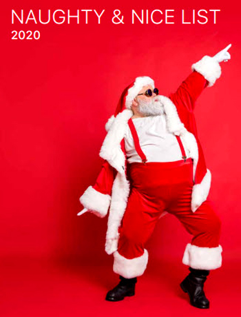 Naughty and Nice List by Corporation for 2020. - Webmaster