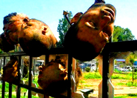 "50 soldier's of Syria's 417 Division were beheaded and their heads put on poles." - Live Leak  