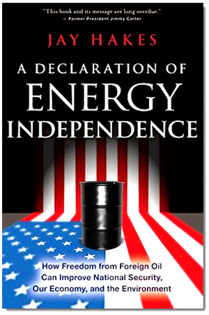 Written by a top energy expert, this book outlines seven economically and politically viable ways America can more efficiently use and produce energy. Find out how carbon fuels negatively impact our lives and understand the political framework of the energy crisis.  