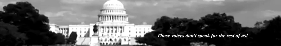 New ad for the fall from the Republican Study Committee.  