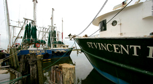 "Vietnamese fishermen in Gulf fight to not get lost in translation." CNN