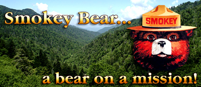 Read about the true story of the (little) Smokey Bear.  