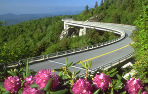Spring, summer, and fall annually bring some 20 million visitors to the Blue Ridge Parkway and the section of the world-famous Appalachian Trail that runs through the western part of North Carolina and Virginia. It is just minutes from campus. If you stand in the right place, you can see the entire campus, nestled against some of the oldest land masses in the continental United States—a chain of peaks with such off-the-top-of-the-head names as Howard’s Knob, Whitetop, Elk Knob, Attic Window, Grandfather Mountain, Jane Bald, and Hump. 