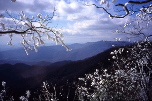 Located in the Nantahala Wilderness Area, Standing Indian Mountain is the highest point along the Appalachian Trail south of the Smokey Mountains. Views from the top can be spectacular regardless of the time of year.  
