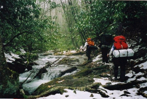 Located in the Nantahala Wilderness Area, Standing Indian Mountain is the highest point along the Appalachian Trail south of the Smokey Mountains. Views from the top can be spectacular regardless of the time of year. 