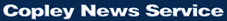 CNS is a full-service syndicate that provides a wide array of daily news and other content to 1,500 clients that range from major daily newspapers to other providers located around the world.