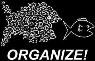 Graphic is owned by the site, Wellredusa.com 