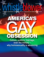 While Americans' attention is riveted on fierce midterm battles and the subsequent power struggle in response to Barack Obama's attempted socialist revolution, a second stunning coup &ndash; one every bit as dangerous to the nation &ndash; is rapidly progressing toward victory with almost no notice or publicity. 
